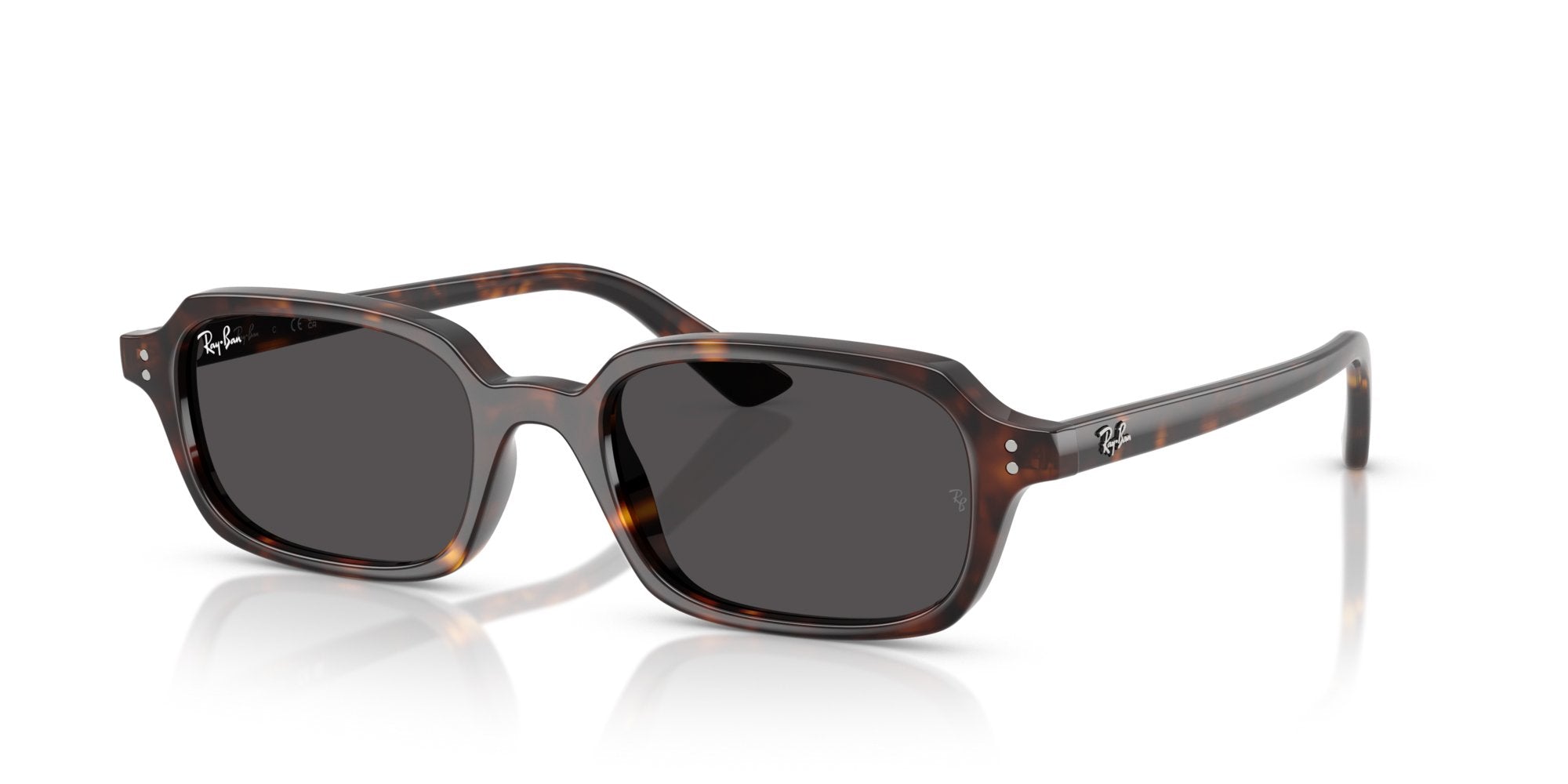 RAY-BAN ZURI RB4455 135987