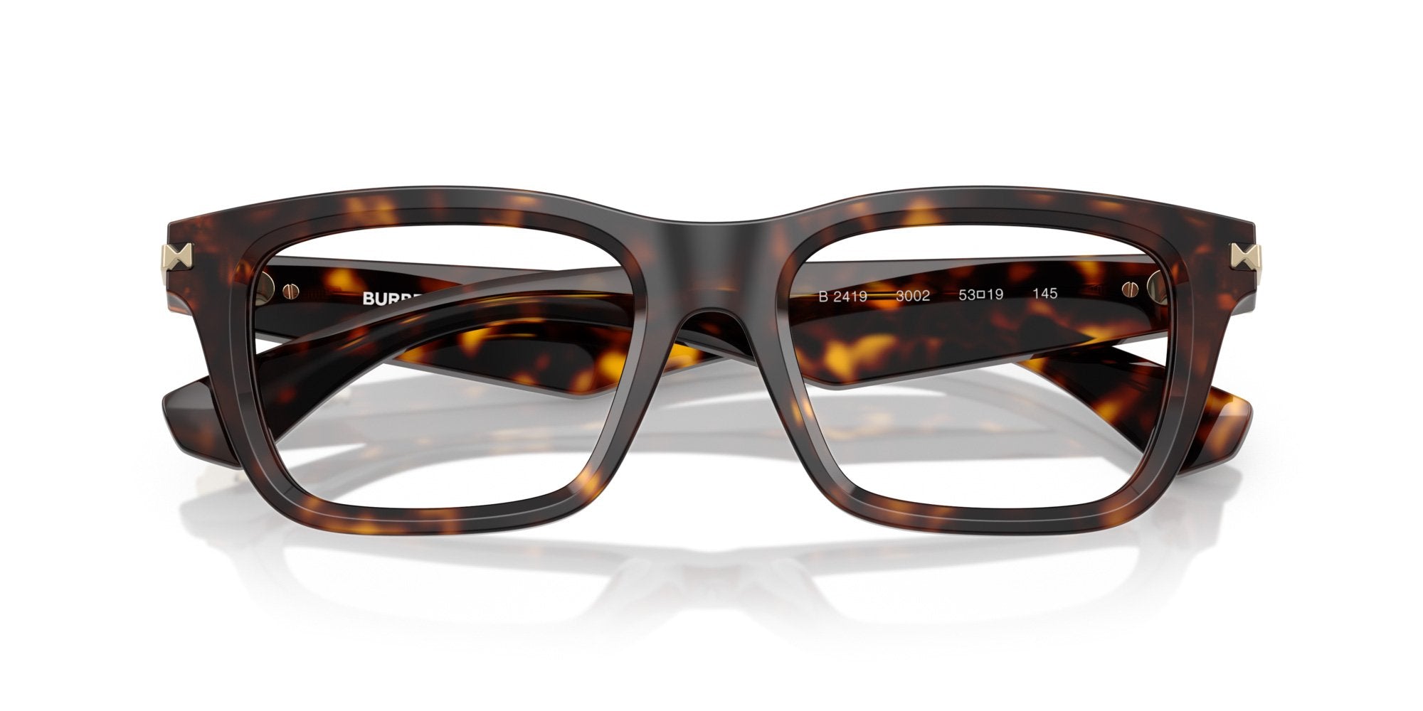 BURBERRY BE2419 3002