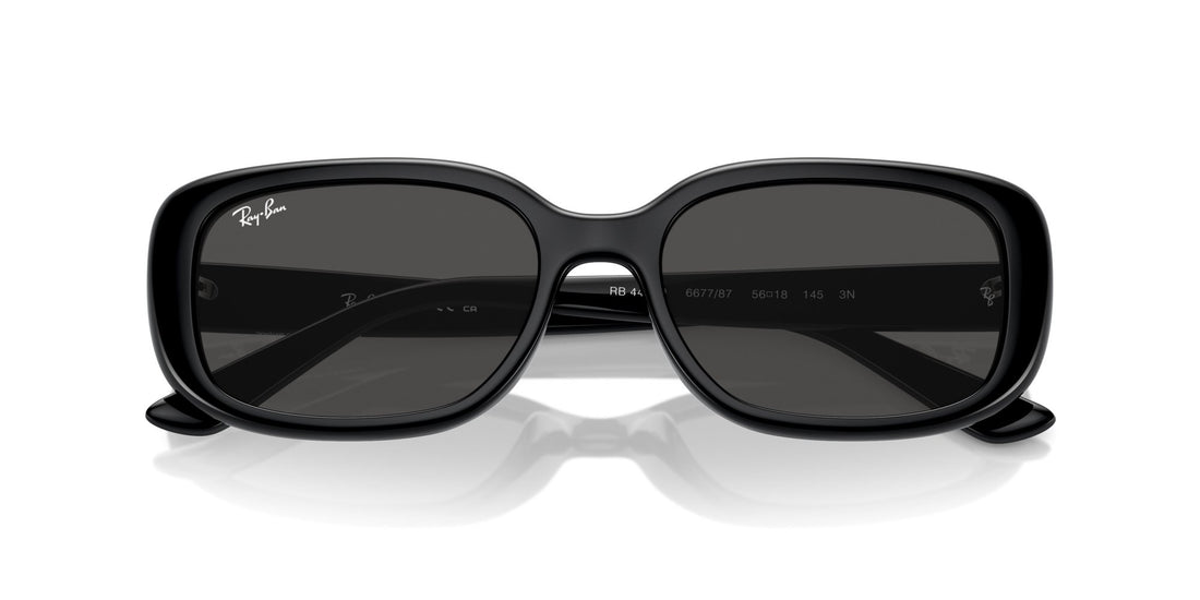 RAY-BAN RB4421D 667787