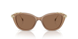 SWAROVSKI SK6010 2002OK