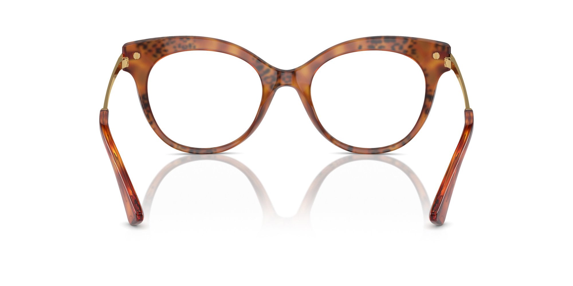 DOLCE & GABBANA DG3392 3380