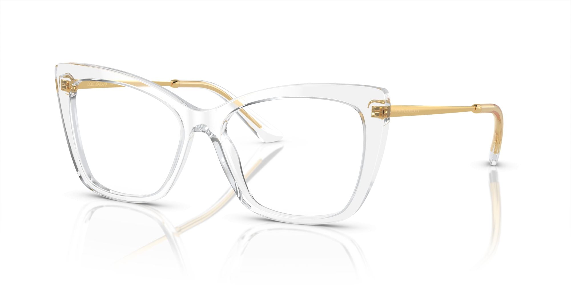DOLCE & GABBANA 3348 3133