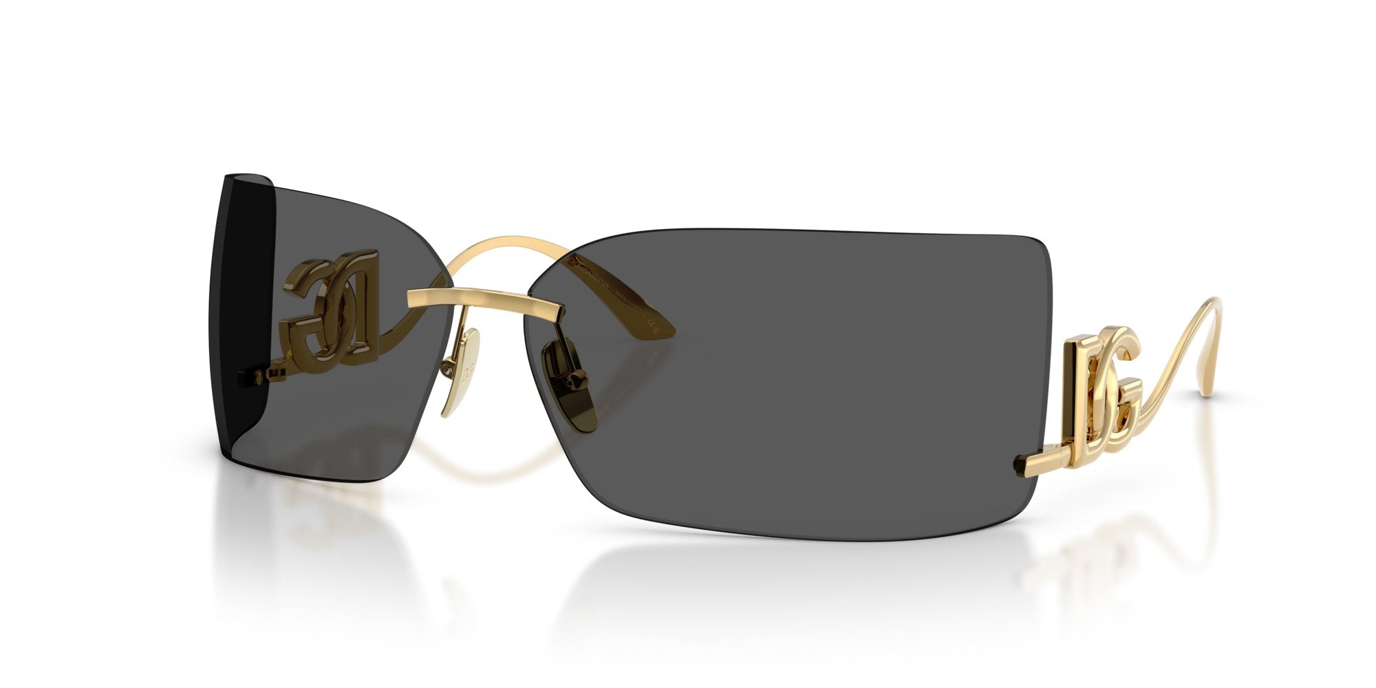 DOLCE & GABBANA DG2319 02/87