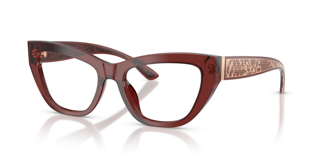 DOLCE & GABBANA DG3412 3045