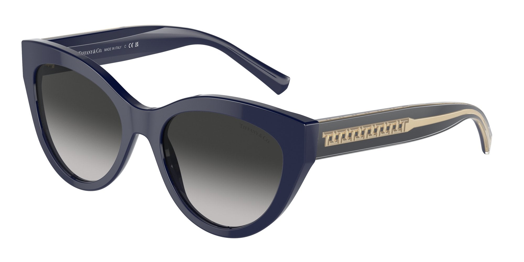 TIFFANY TF4220 83963C