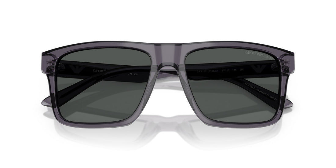EMPORIO ARMANI EA4232 610687