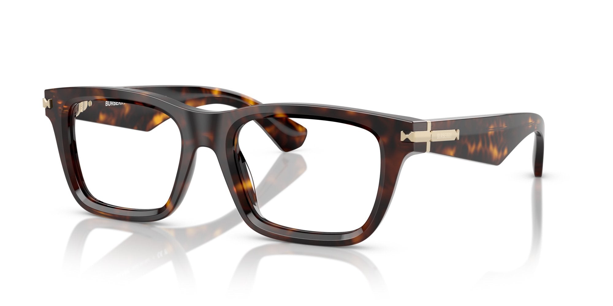 BURBERRY BE2419 3002
