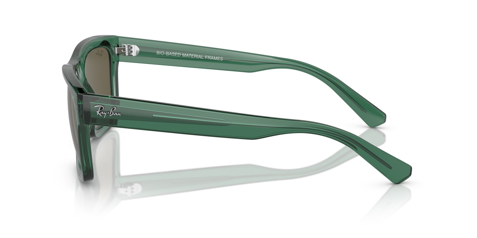 RAY-BAN WARREN RB4396 6681/3