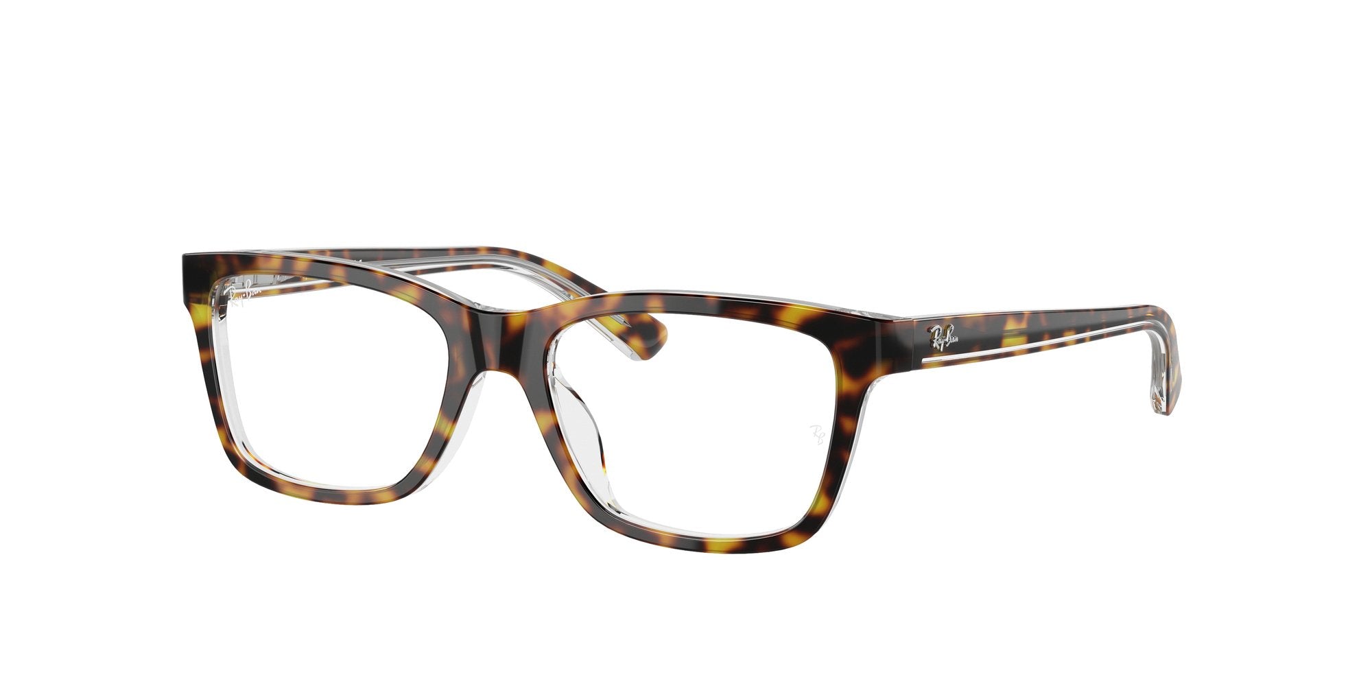 RAY-BAN JUNIOR RY1536 3602