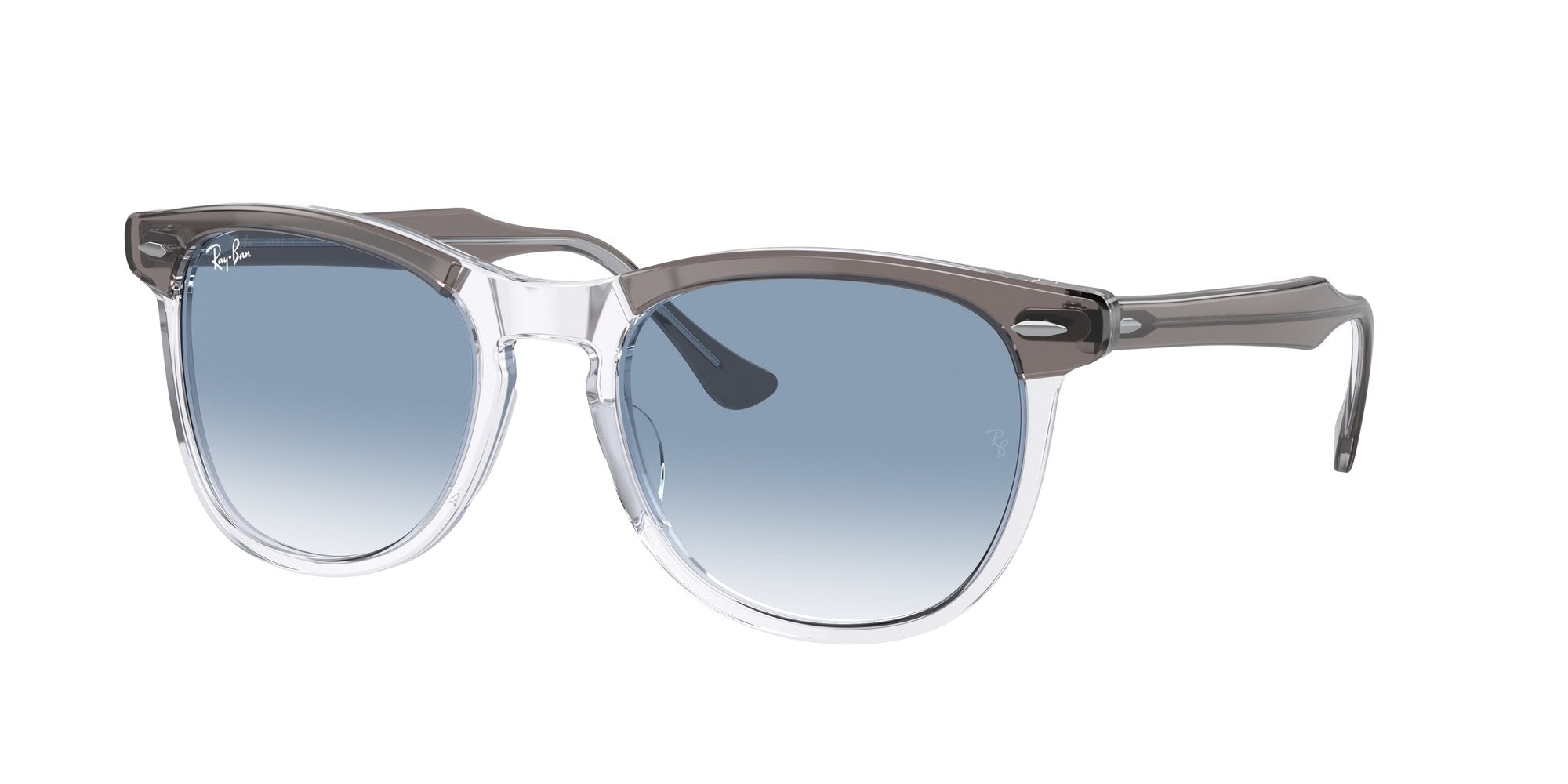 RAY-BAN EAGLEEYE RB2398 13553F