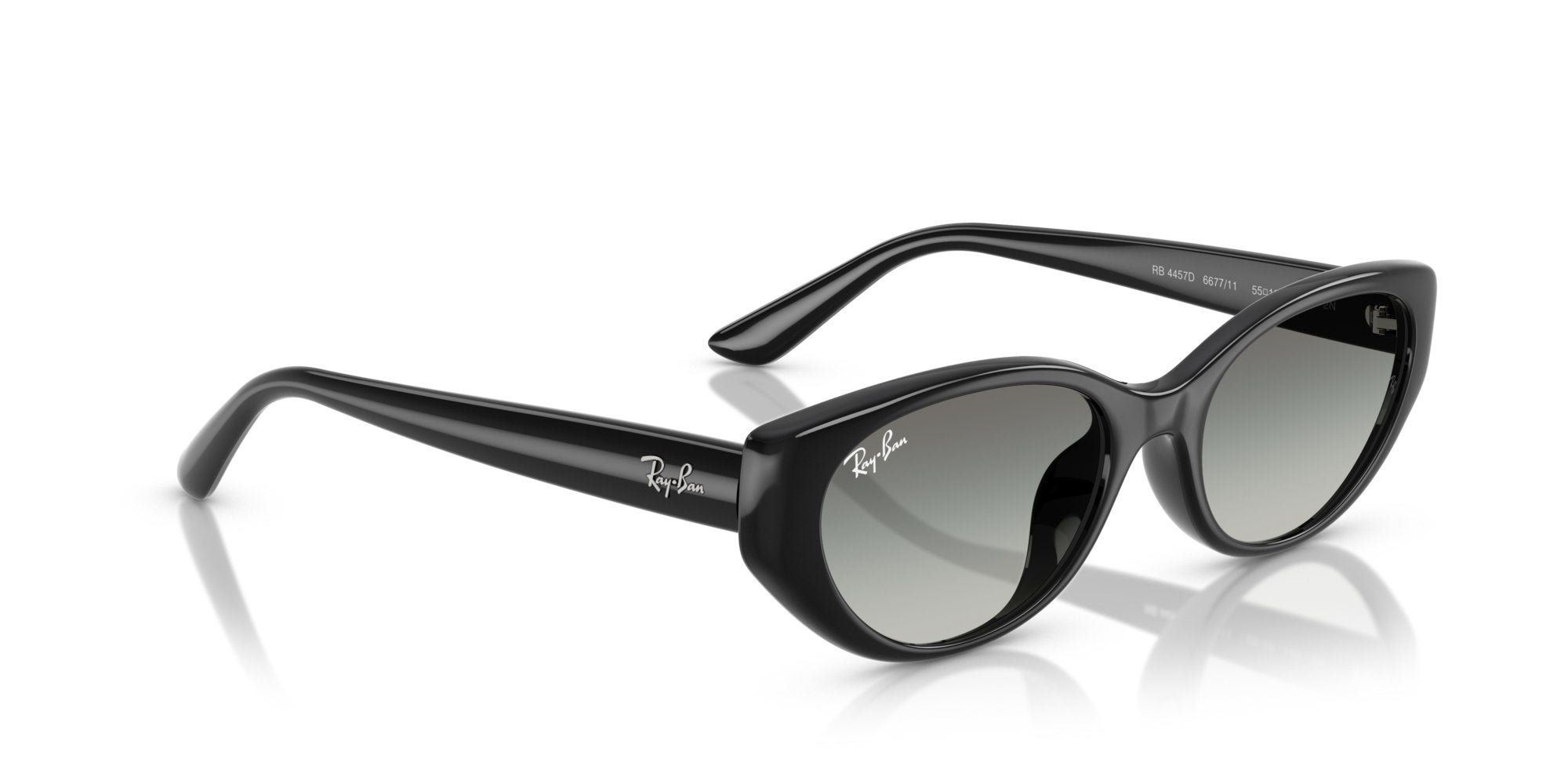 RAY-BAN RB4457D 667711
