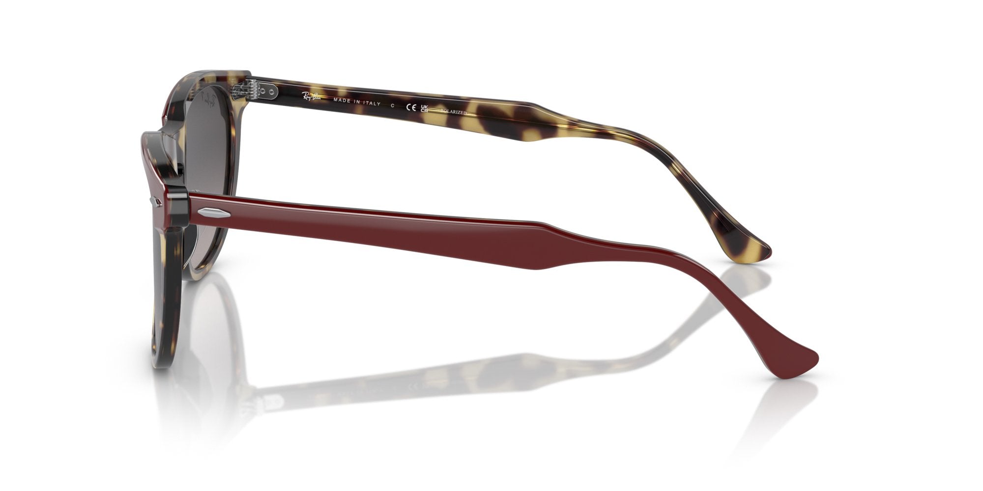 RAY-BAN EAGLEEYE RB2398 1377M3 Polarizzato