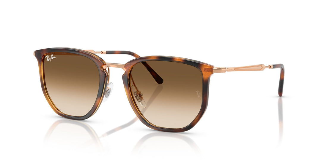 RAY-BAN RB4451 680451