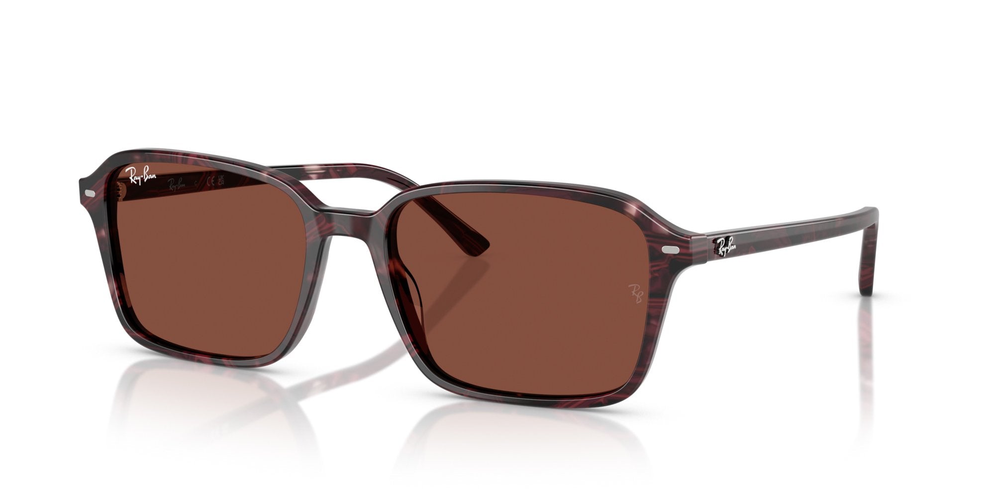 RAY-BAN RAIMOND RB2231 1416C5