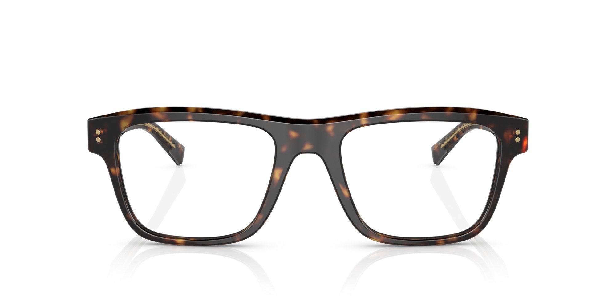 DOLCE & GABBANA DG3362 502