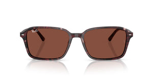 RAY-BAN RAIMOND RB2231 1416C5