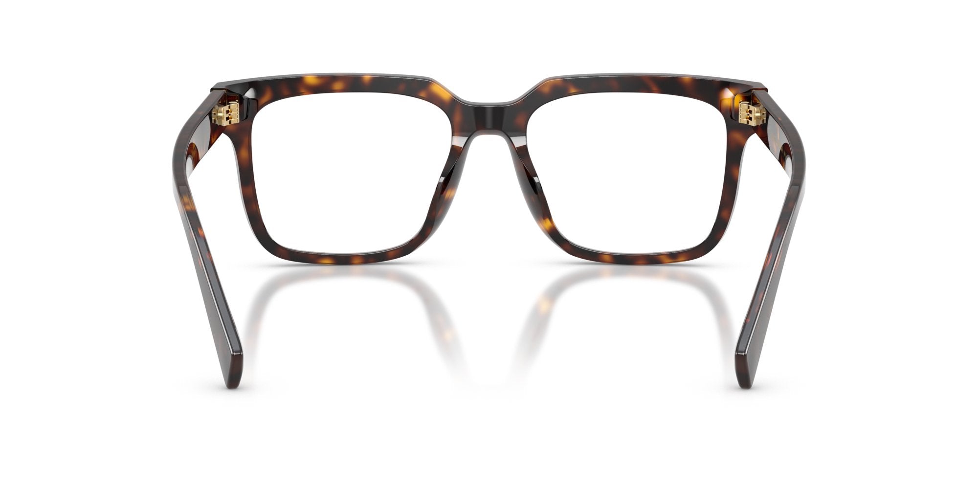 DOLCE & GABBANA DG3422 502