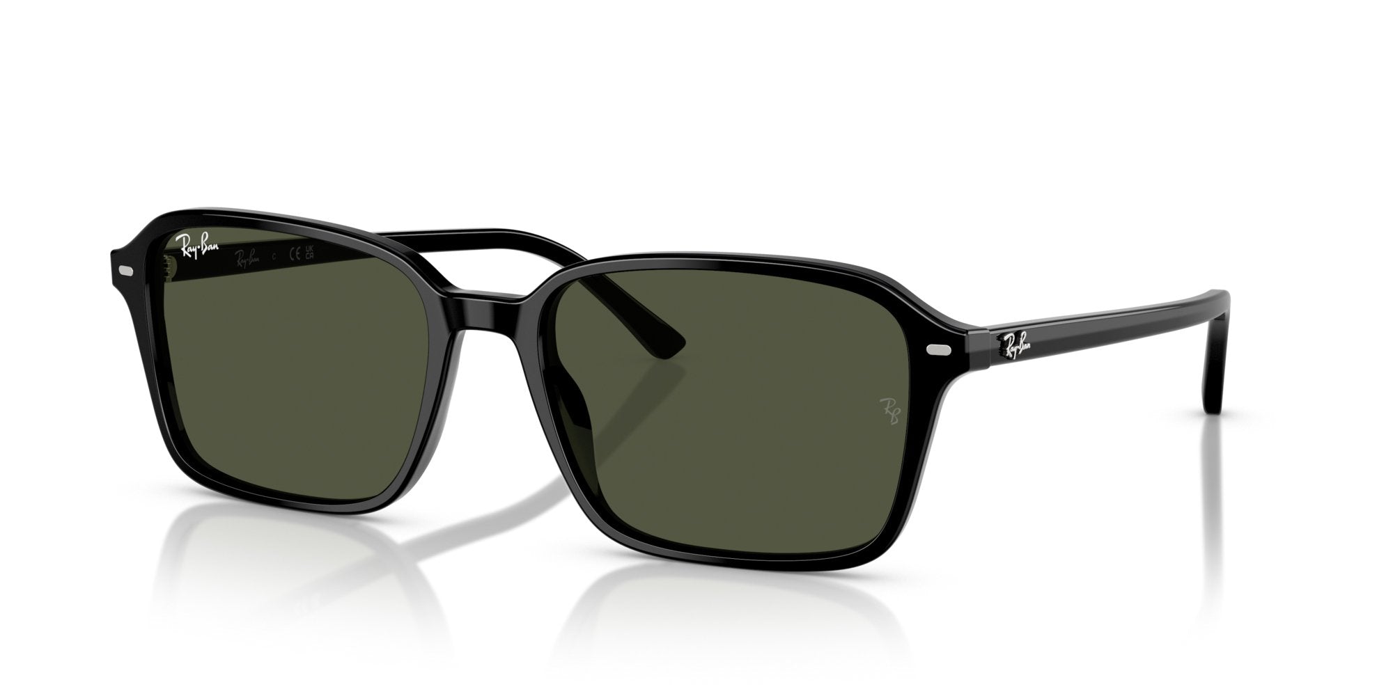 RAY-BAN RAIMOND RB2231 901/31