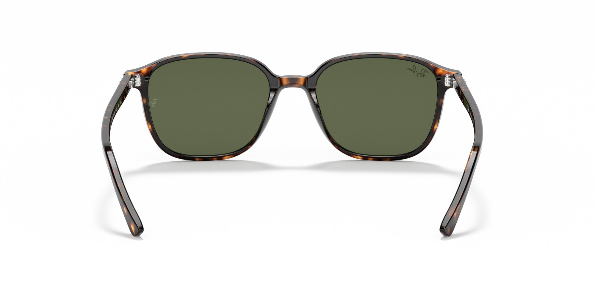 RAY-BAN LEONARD RB2193 902/31