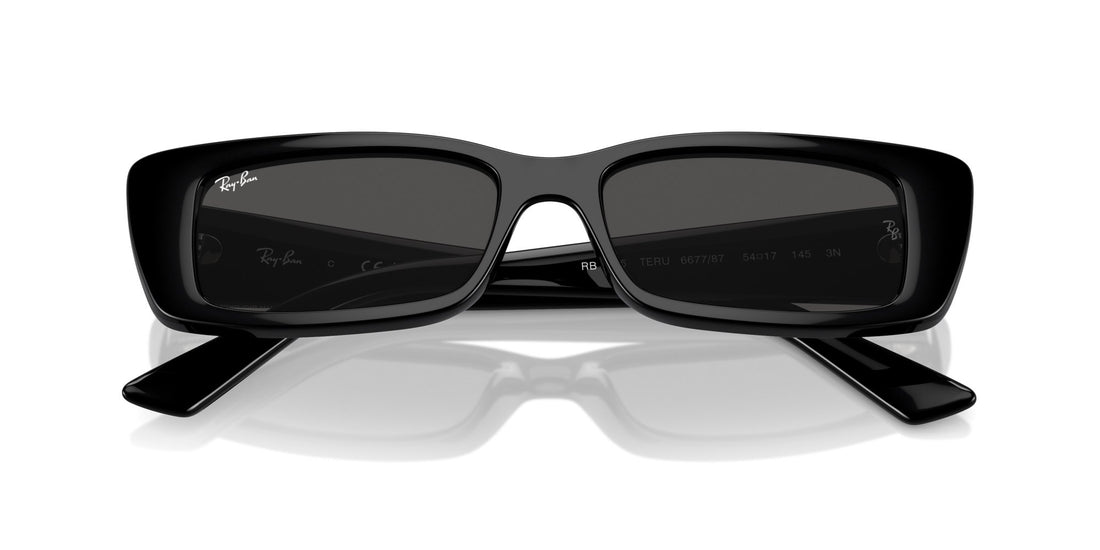 RAY-BAN TERU RB4425 667787
