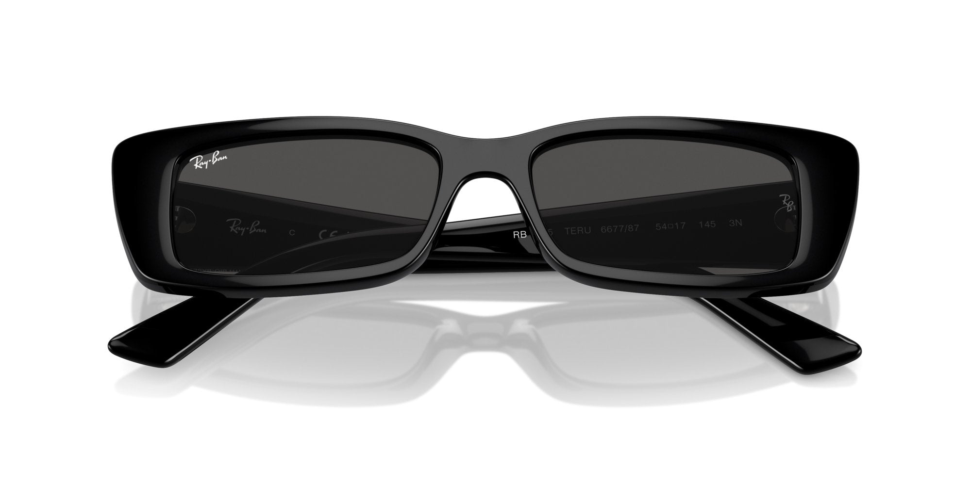 RAY-BAN TERU RB4425 667787