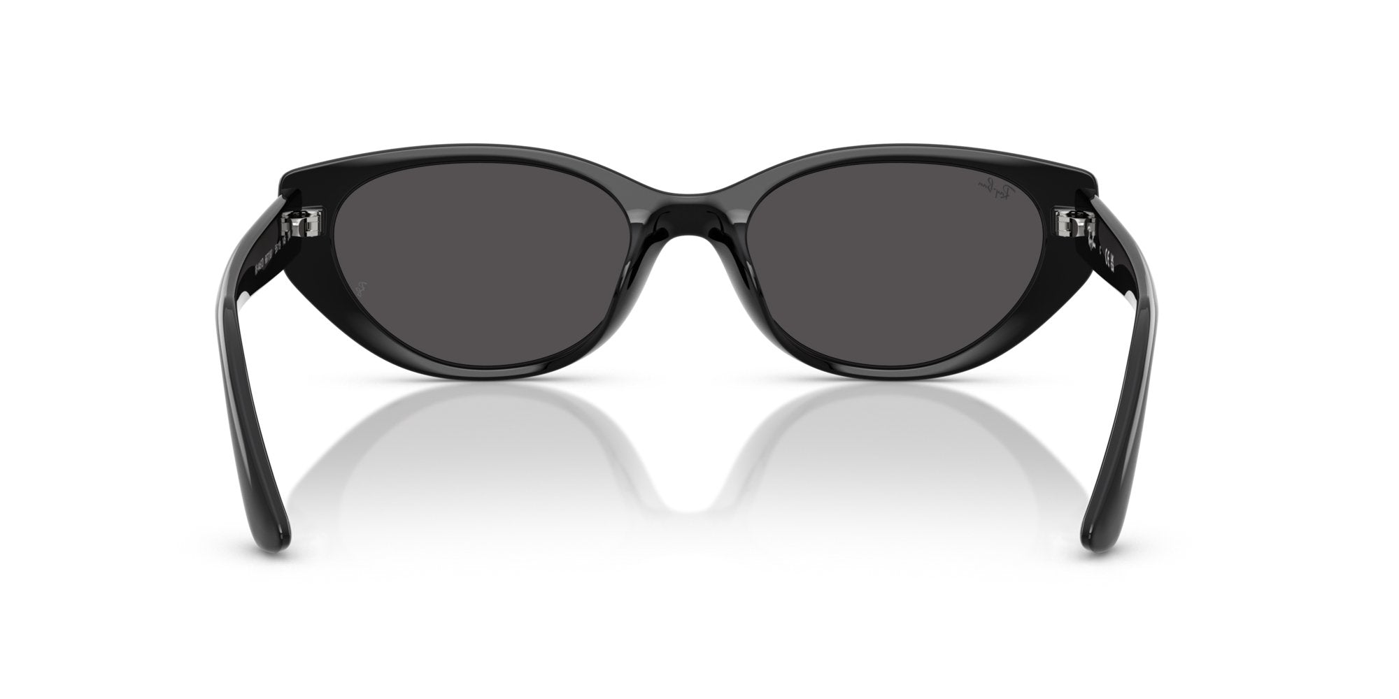 RAY-BAN RB4457D 667787