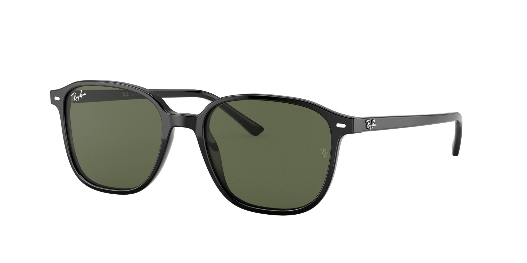 RAY-BAN LEONARD RB2193 901/31