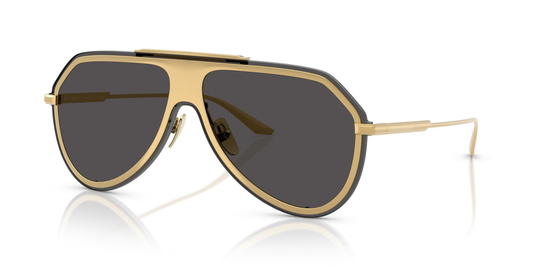 DOLCE & GABBANA DG2309 02/87
