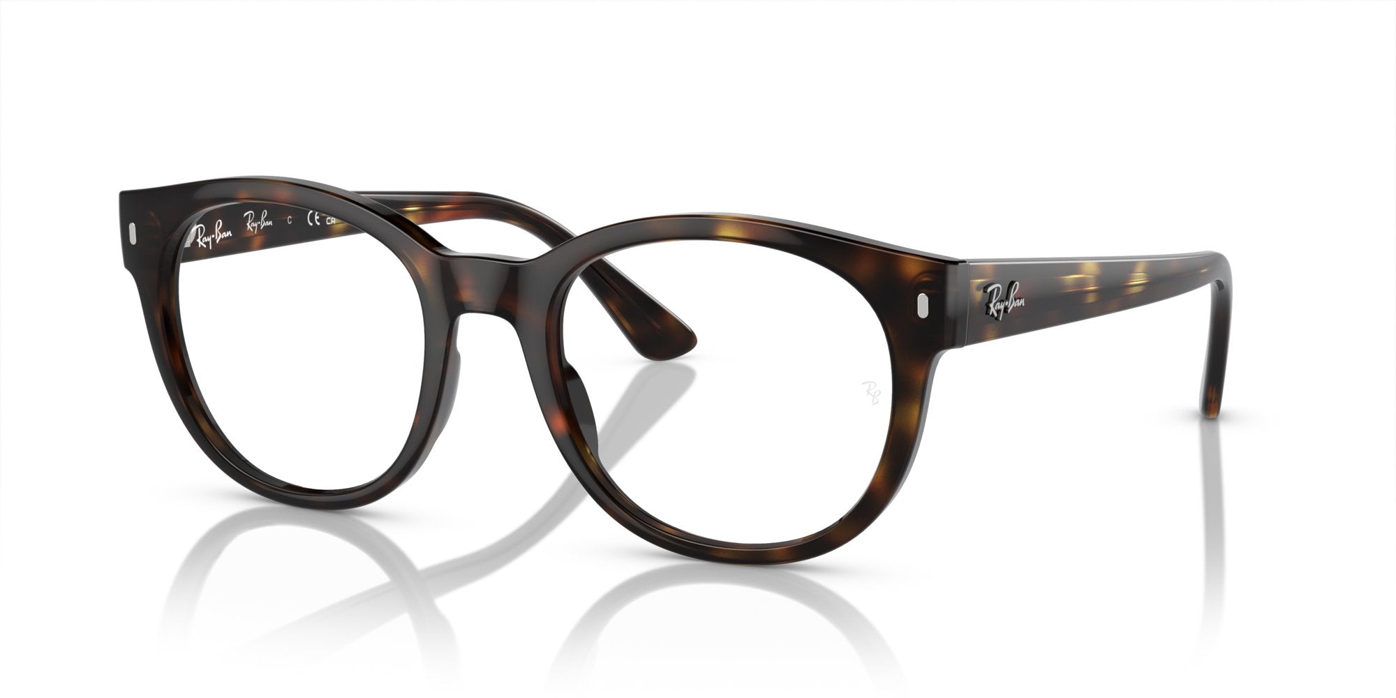 RAY-BAN RX7227 2012