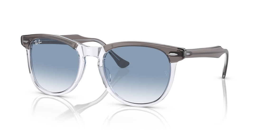 RAY-BAN EAGLEEYE RB2398 13553F
