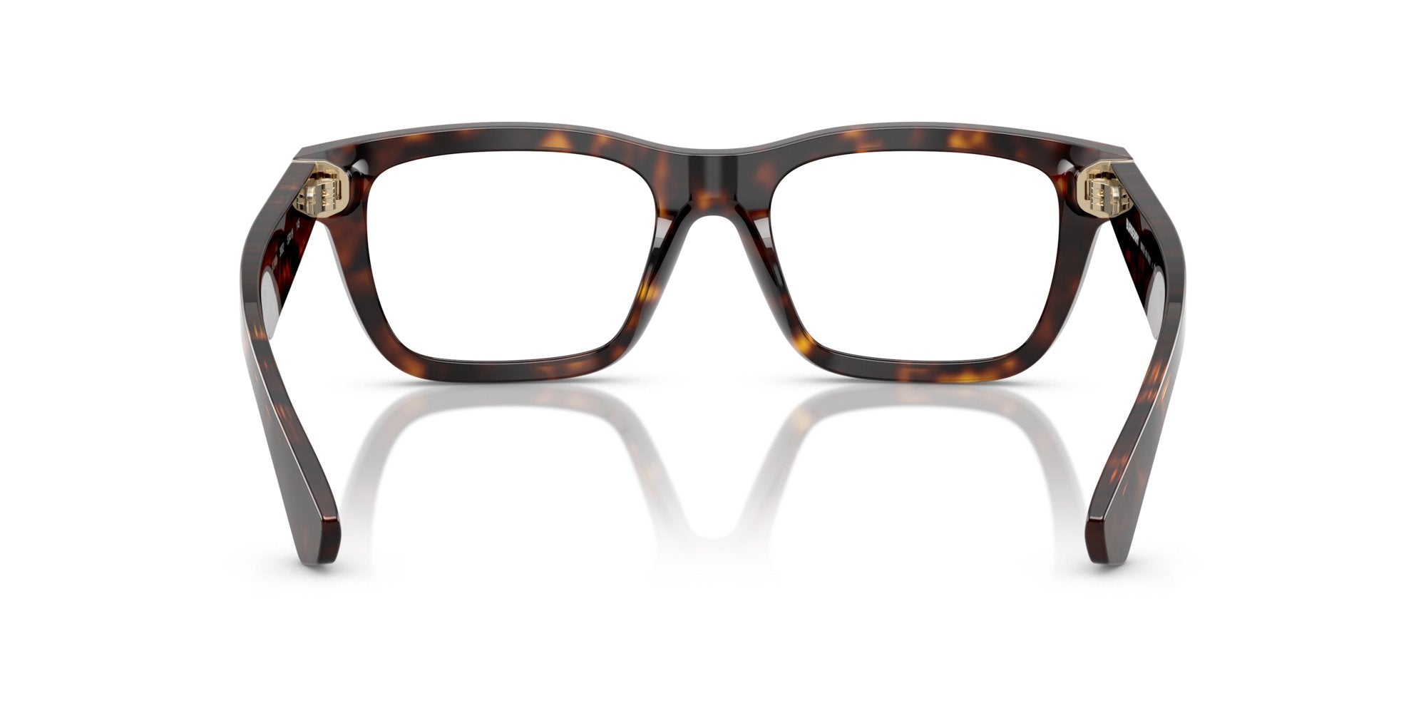 BURBERRY BE2419 3002