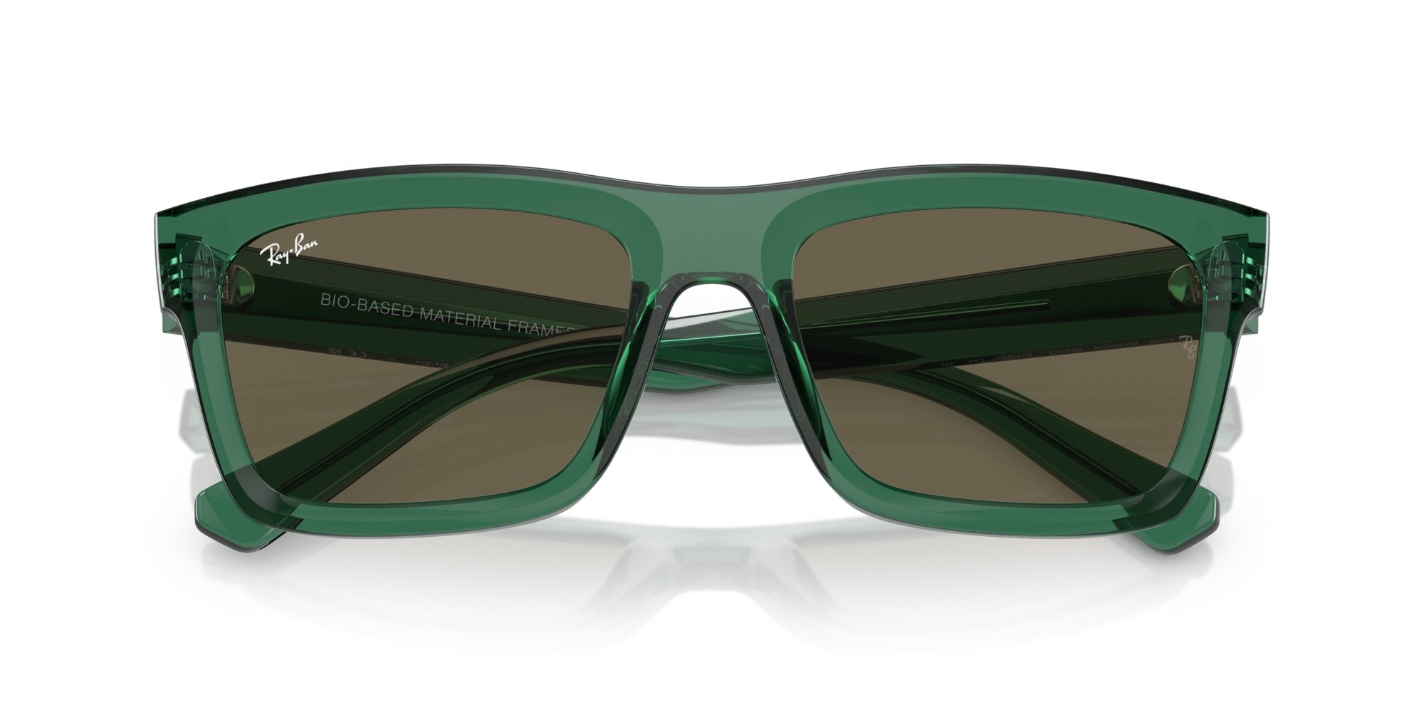 RAY-BAN WARREN RB4396 6681/3