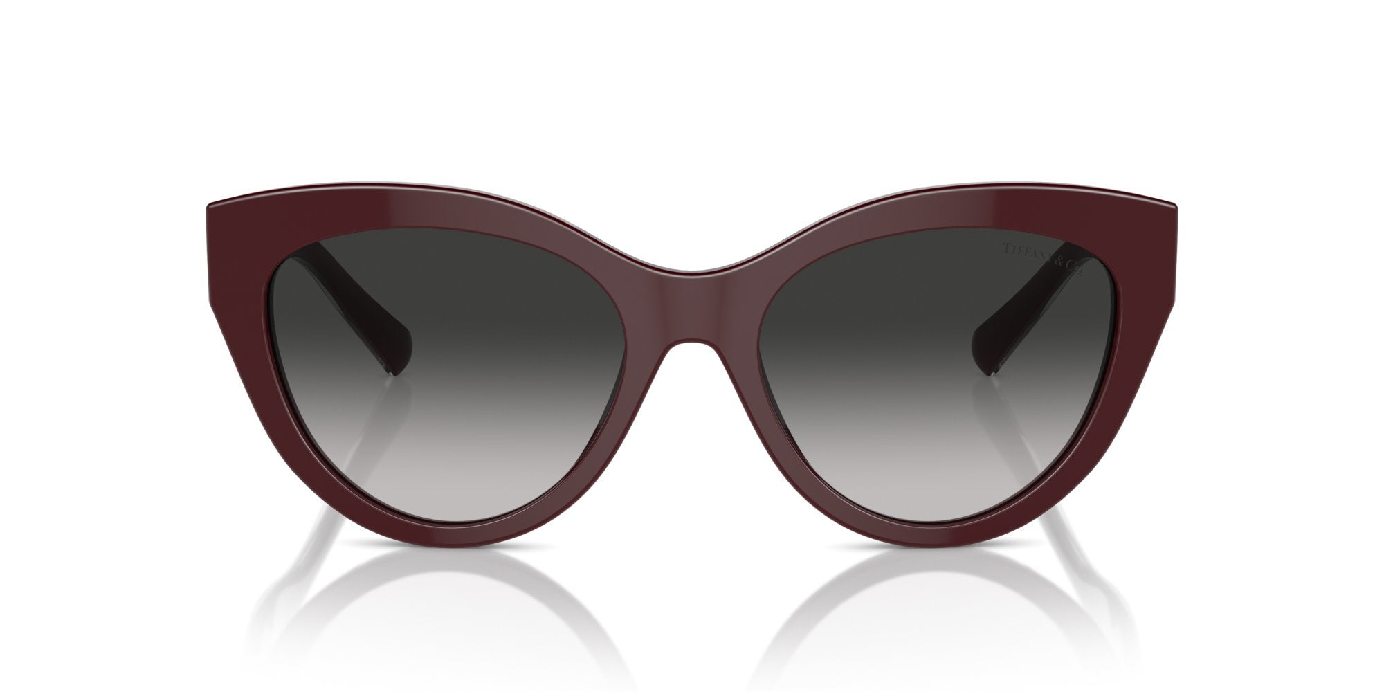 TIFFANY TF4220 83893C