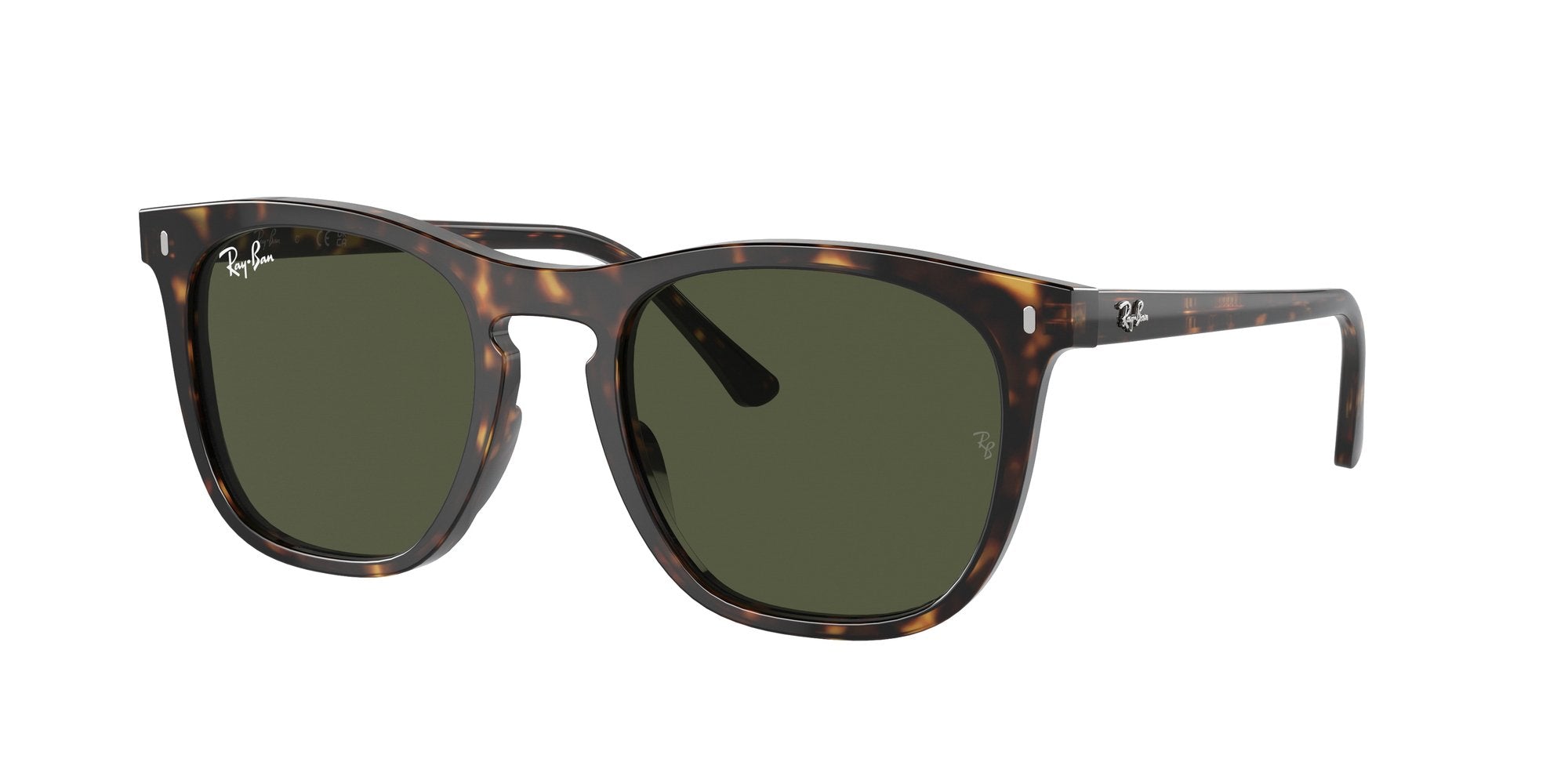 RAY-BAN RB2210 902_31