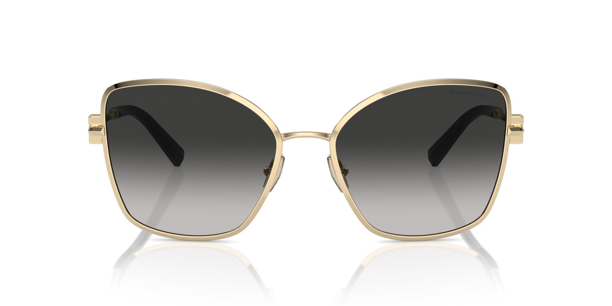 TIFFANY TF3102B 60213C