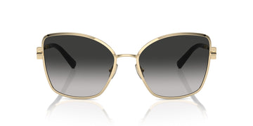 TIFFANY TF3102B 60213C