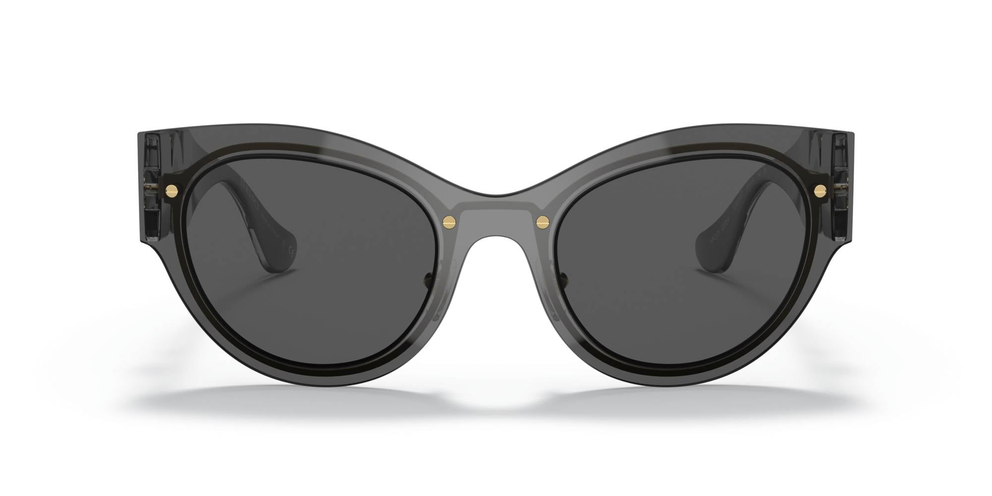 VERSACE 2234 100287