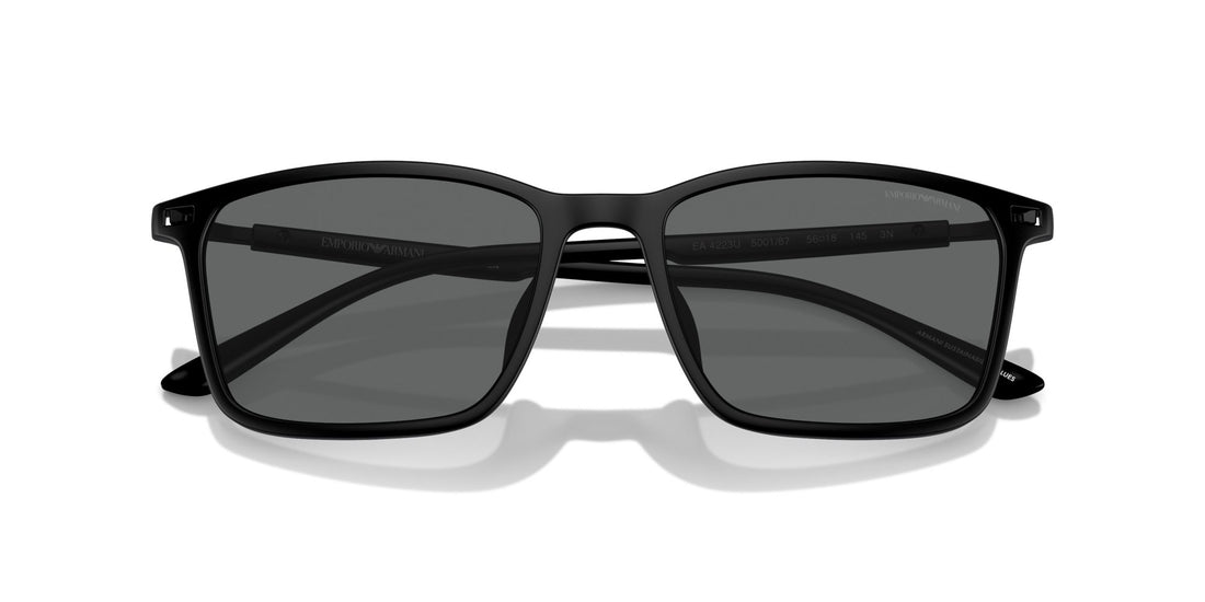 EMPORIO ARMANI EA4223U 500187