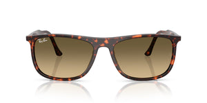 RAY-BAN RB2216 14290A