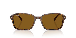 RAY-BAN RAIMOND RB2231 141833