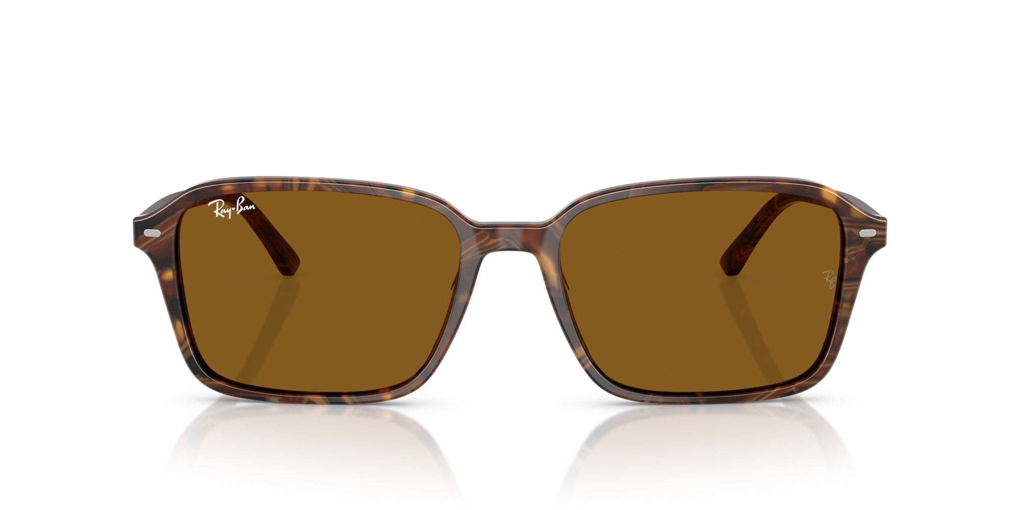 RAY-BAN RAIMOND RB2231 141833
