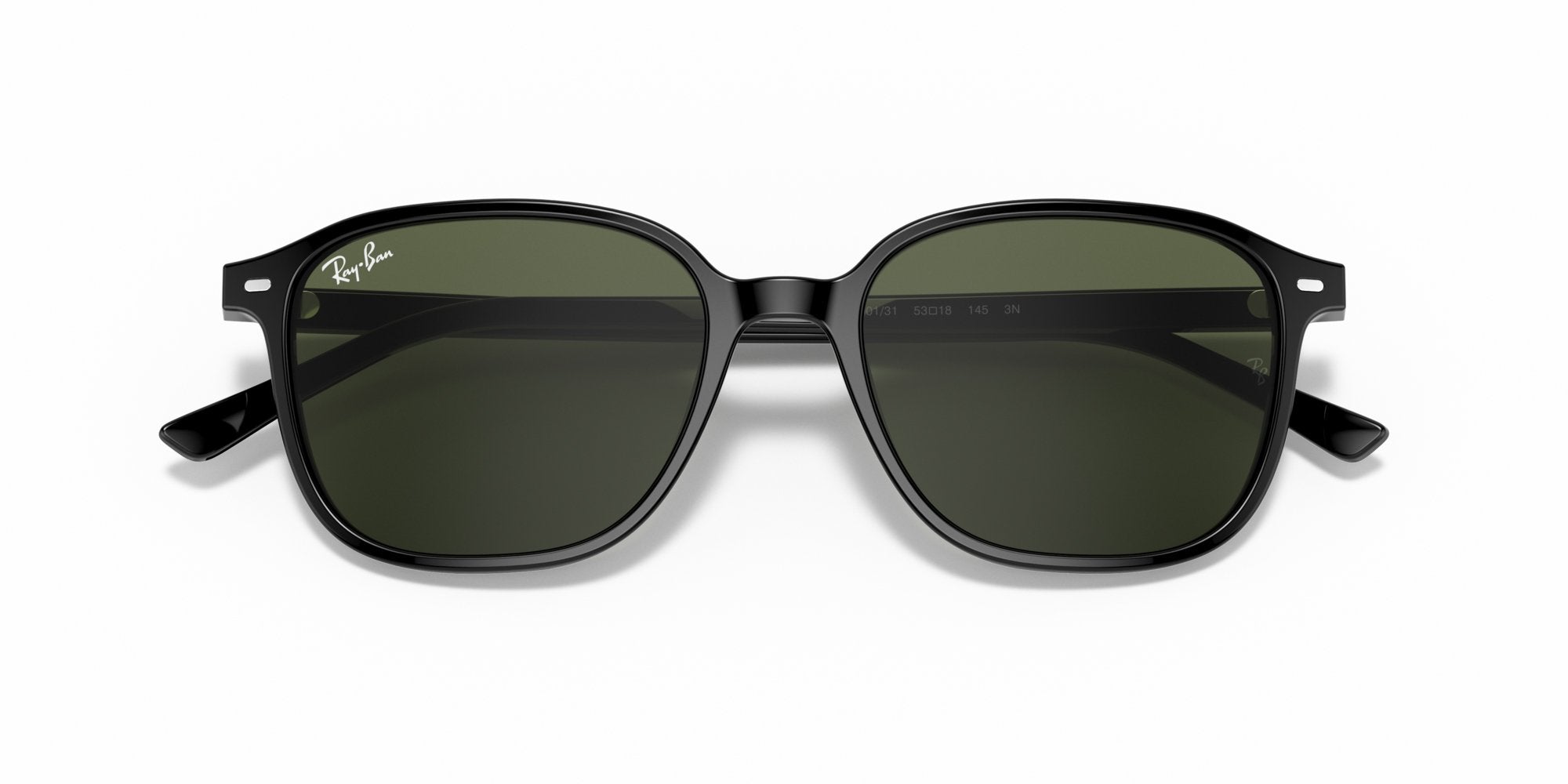 RAY-BAN LEONARD RB2193 901/31
