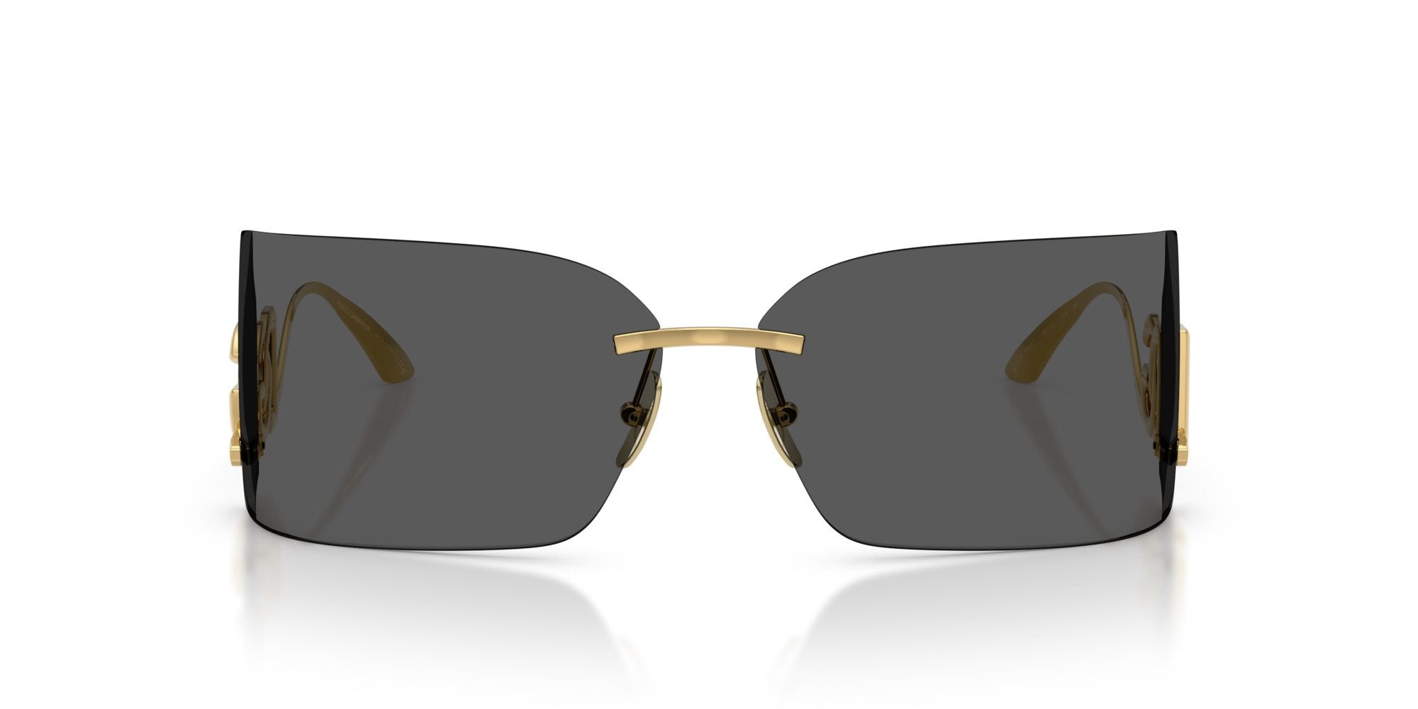 DOLCE & GABBANA DG2319 02/87