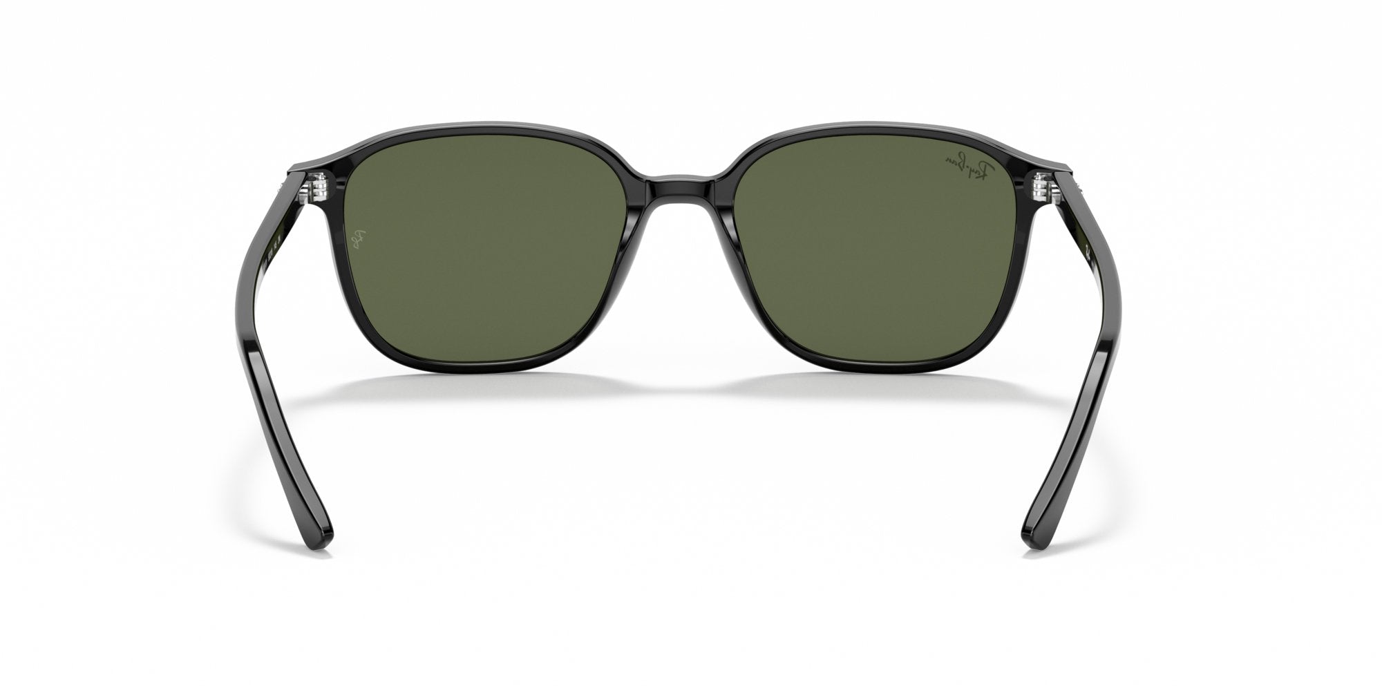 RAY-BAN LEONARD RB2193 901/31