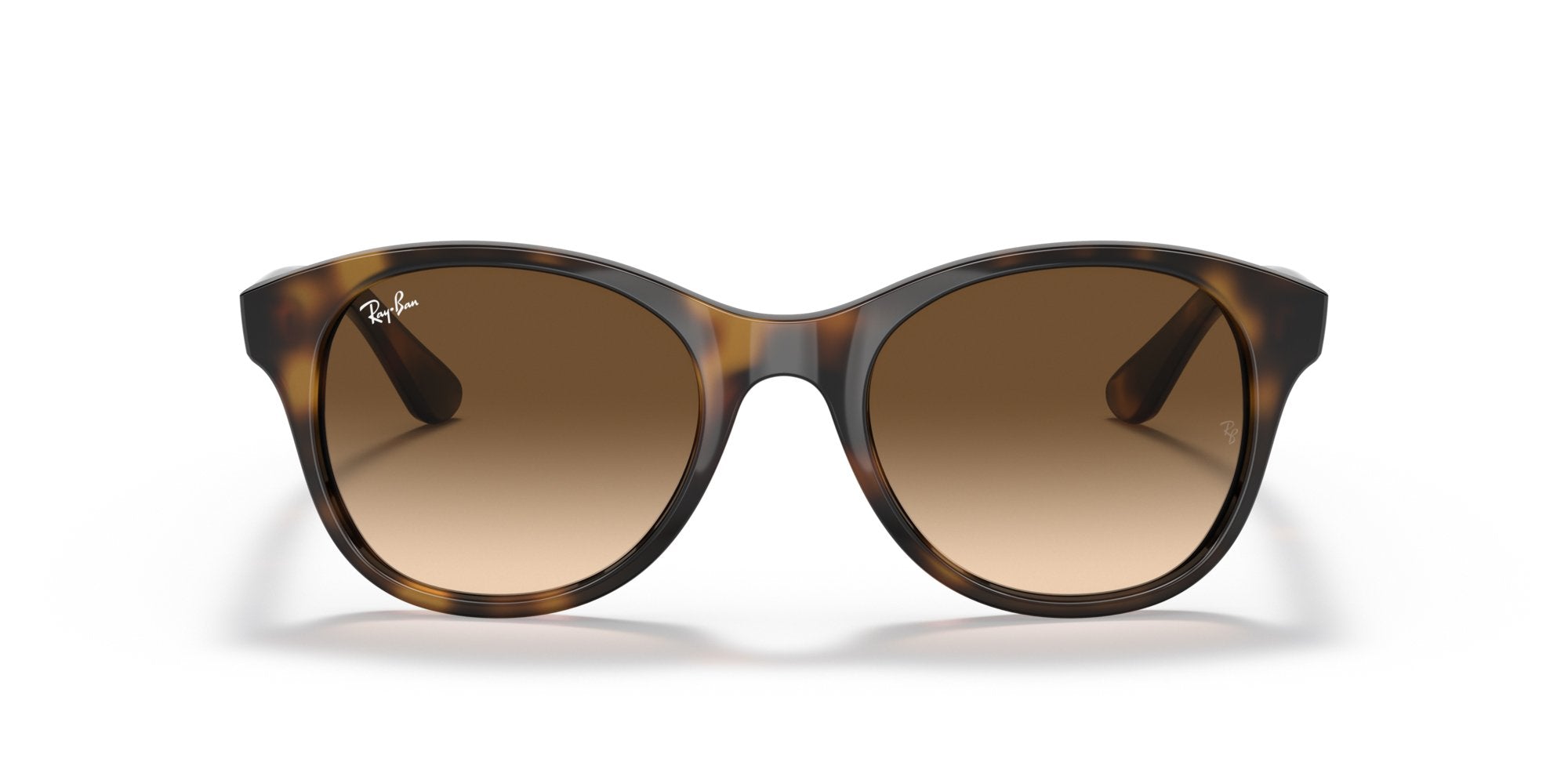 RAY-BAN RB4203 710_13