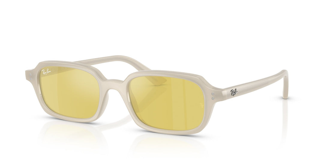 RAY-BAN ZURI RB4455 68086D