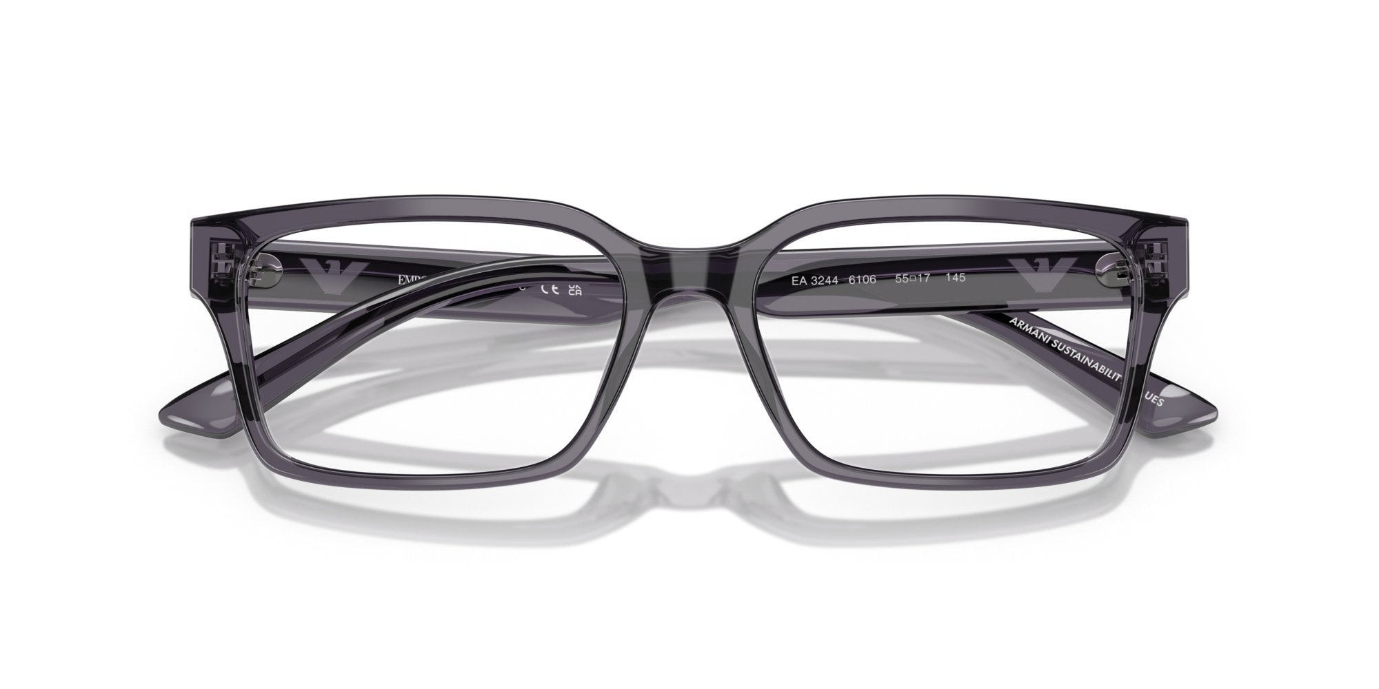EMPORIO ARMANI EA3244 6106