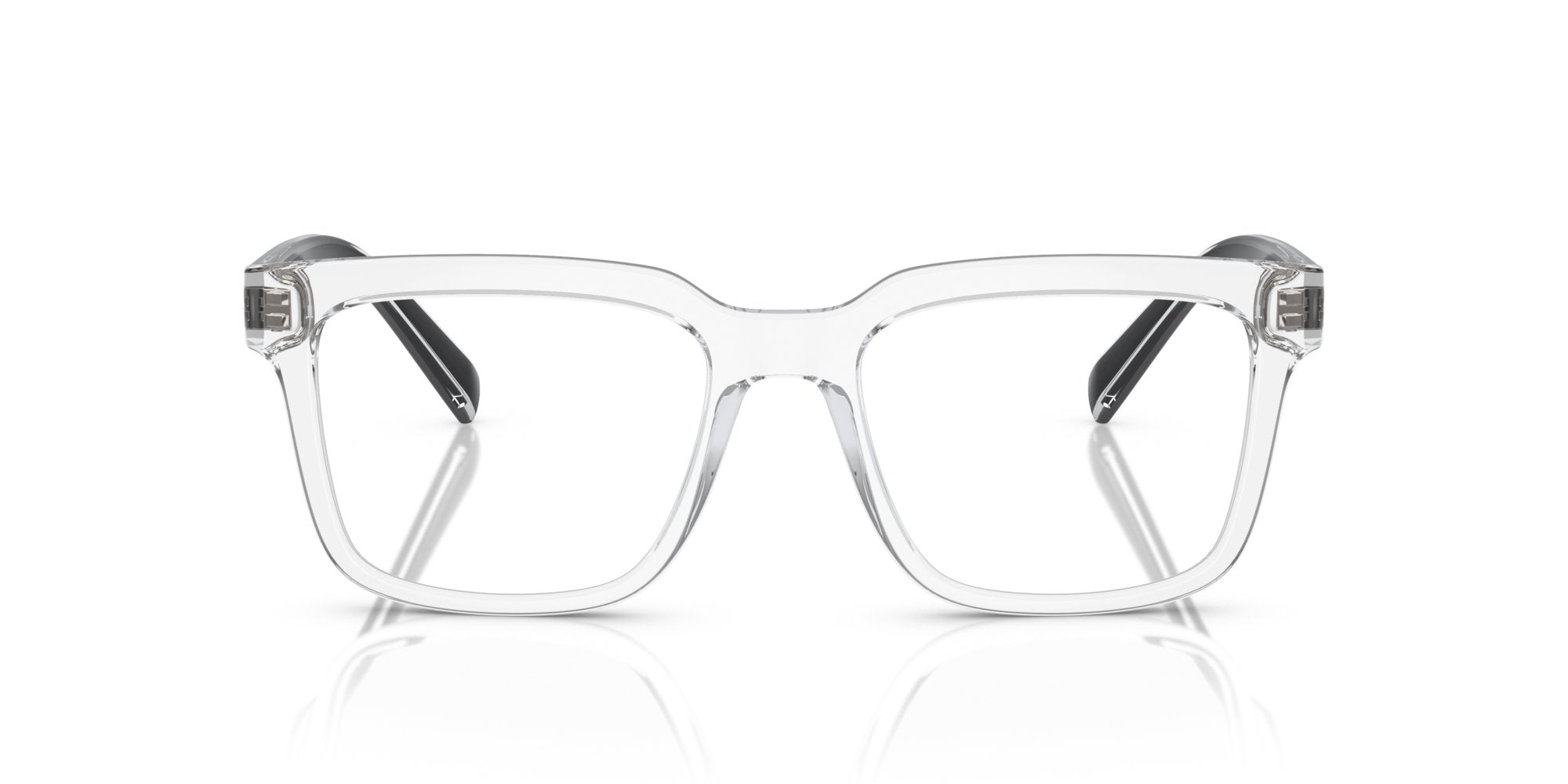 DOLCE & GABBANA DG5101 3133