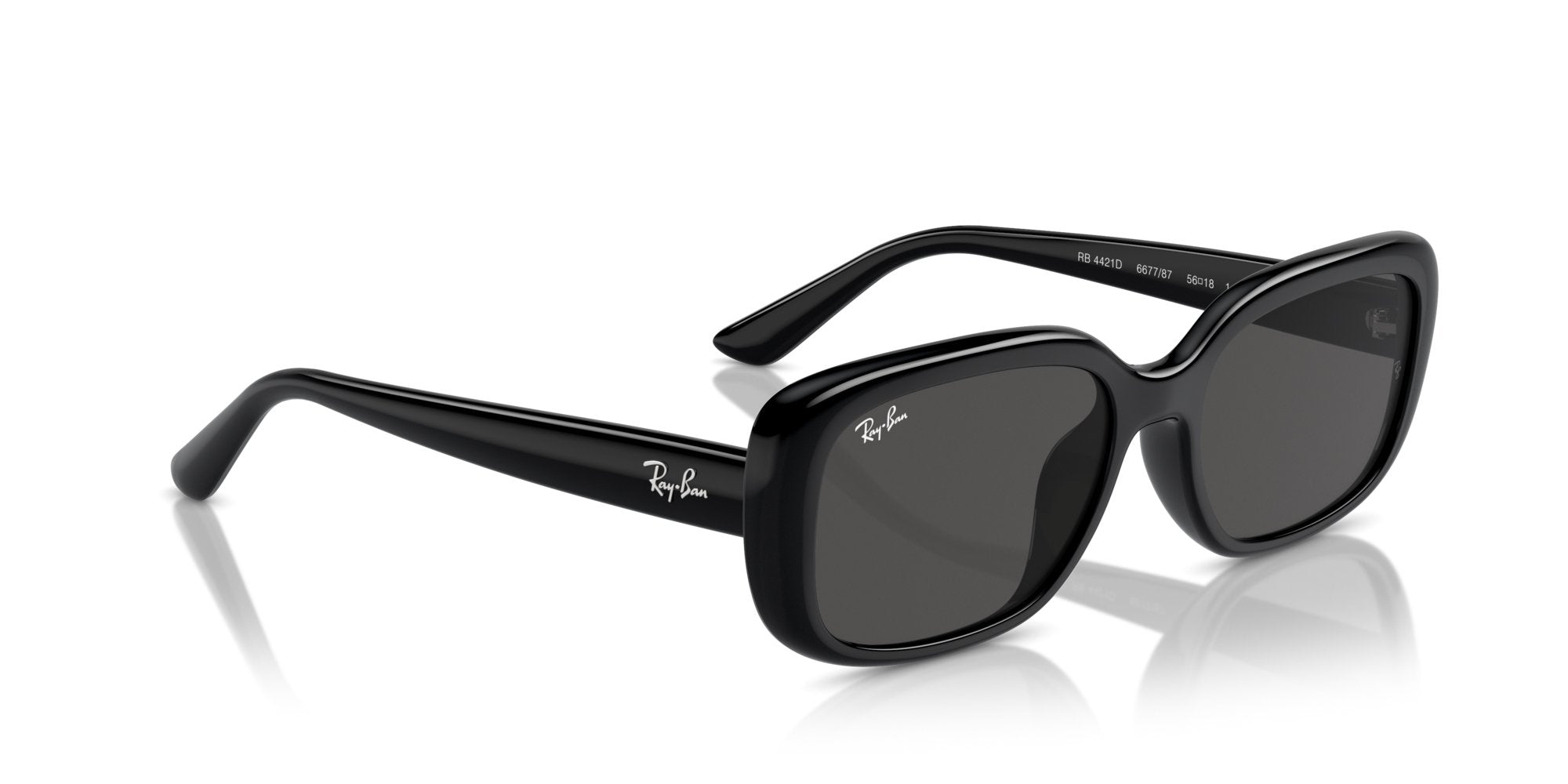 RAY-BAN RB4421D 667787