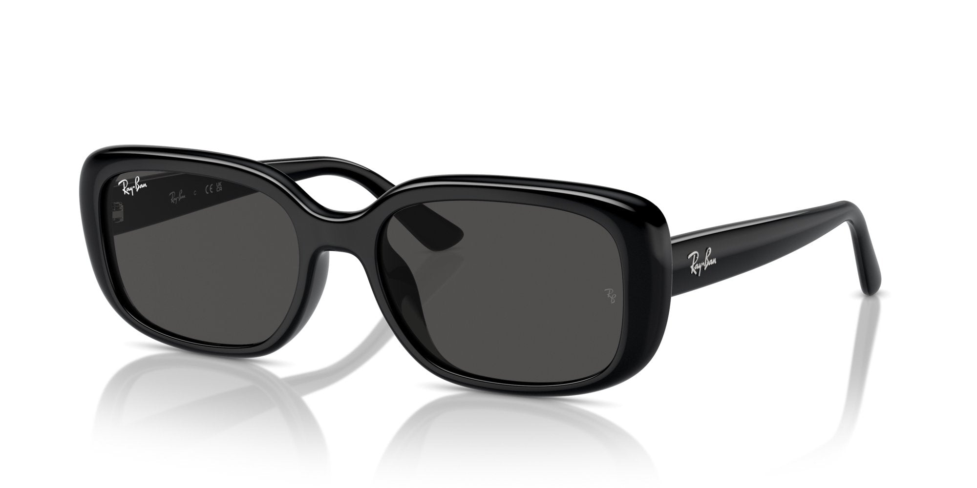 RAY-BAN RB4421D 667787